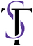 Soft-Technix logo