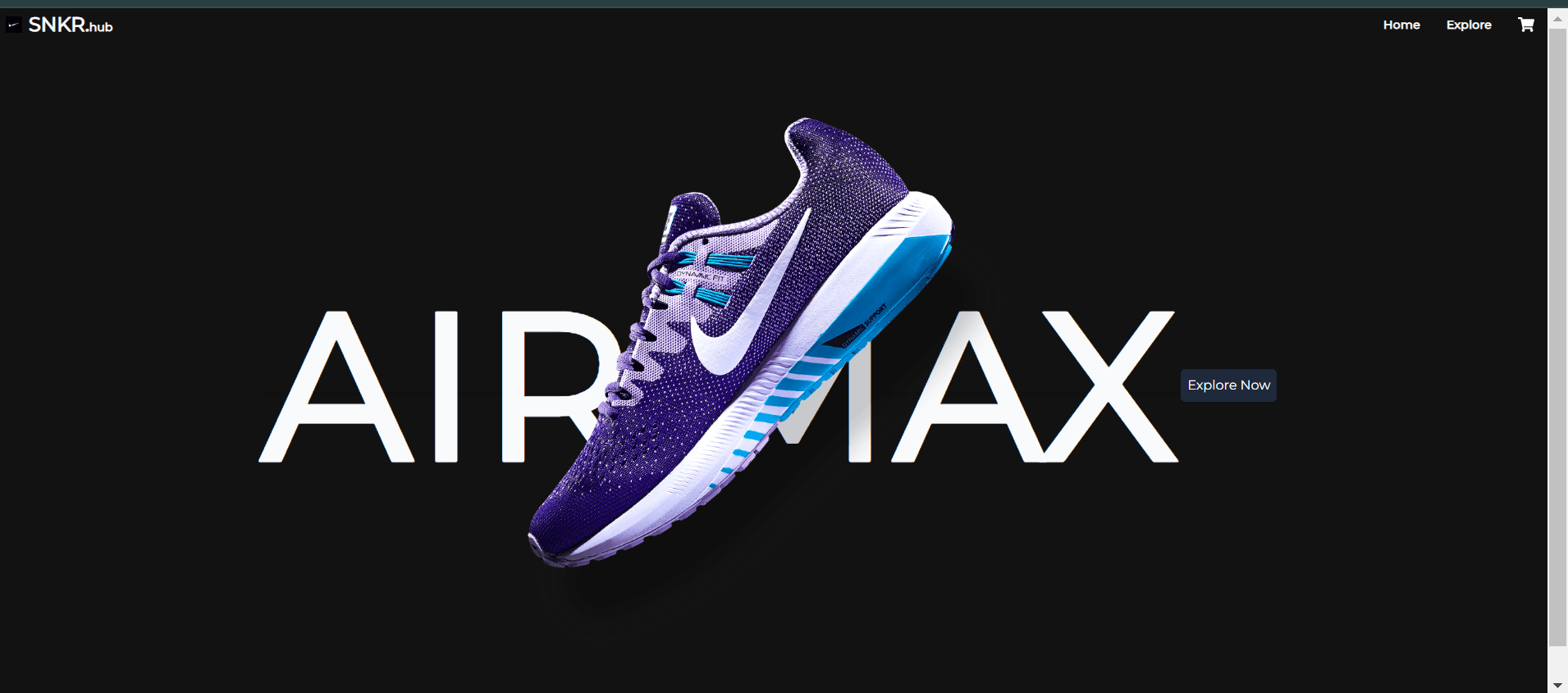 Sneaker Shoes